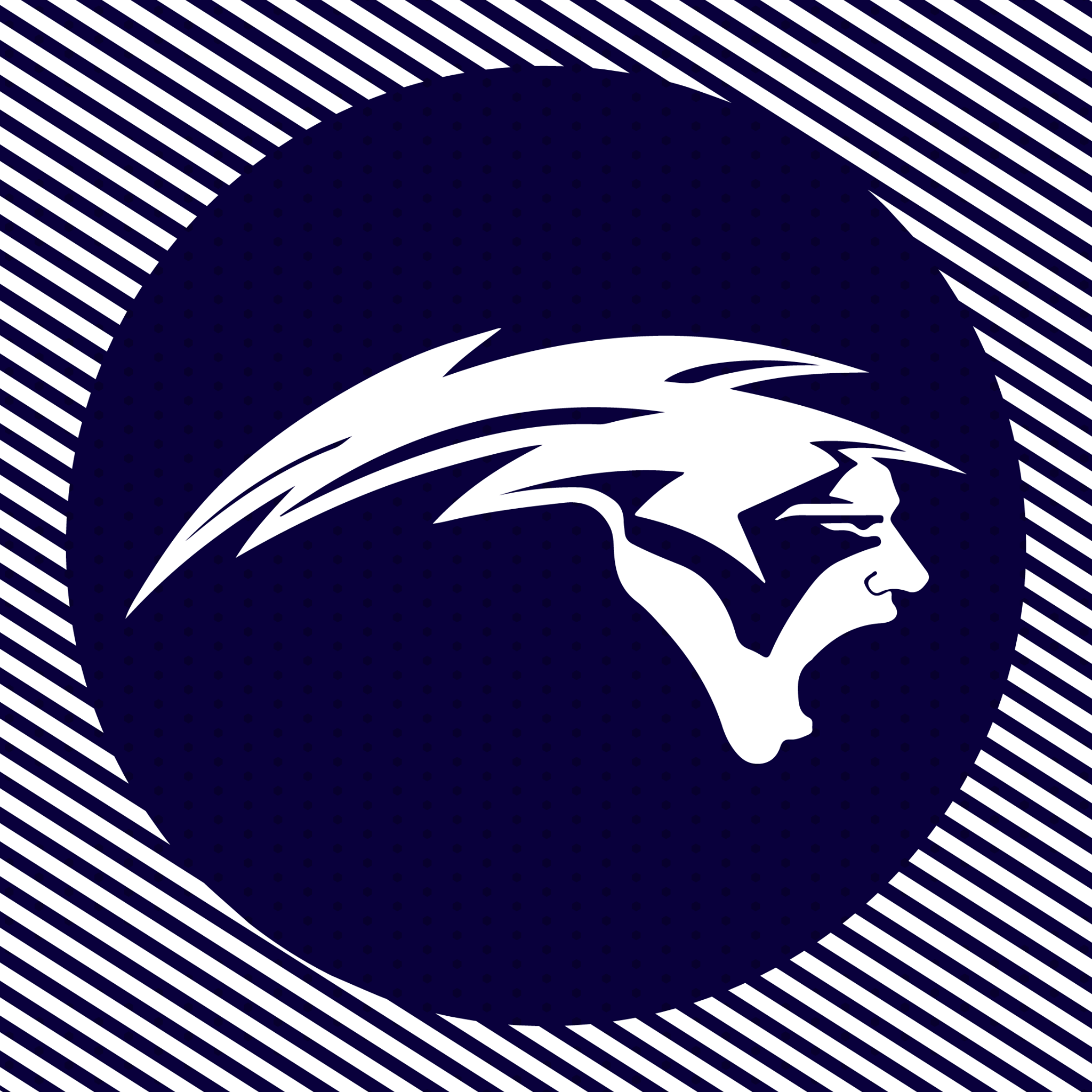 Logo Thunders